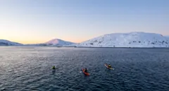 Three kayakers heading towards the sunset