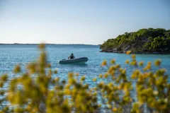 Scouting the bay by dinghy